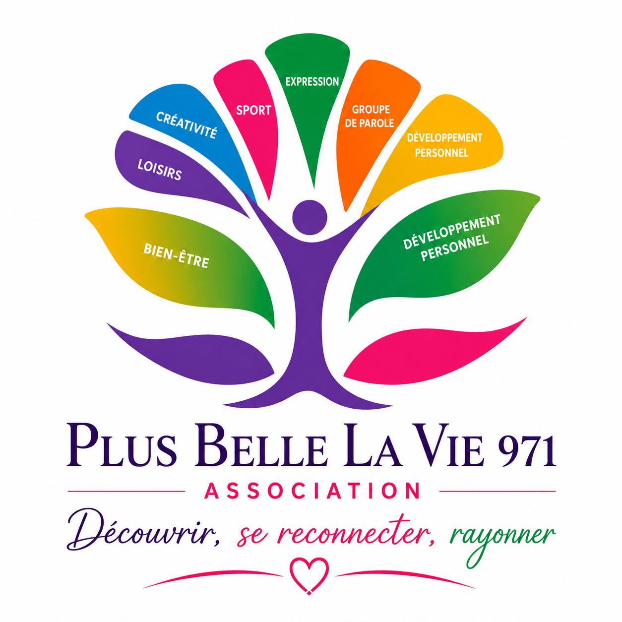 Logo Plus Belle La Vie 971
